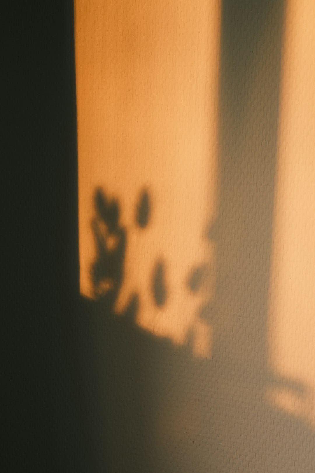 http://n.sinaimg.cn/news/w1500h1000/20180314/hGGK-fyscsmv5188267.jpg?zdy